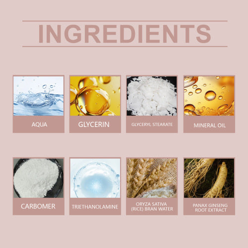 Ginseng & Reis Feuchtigkeitscreme