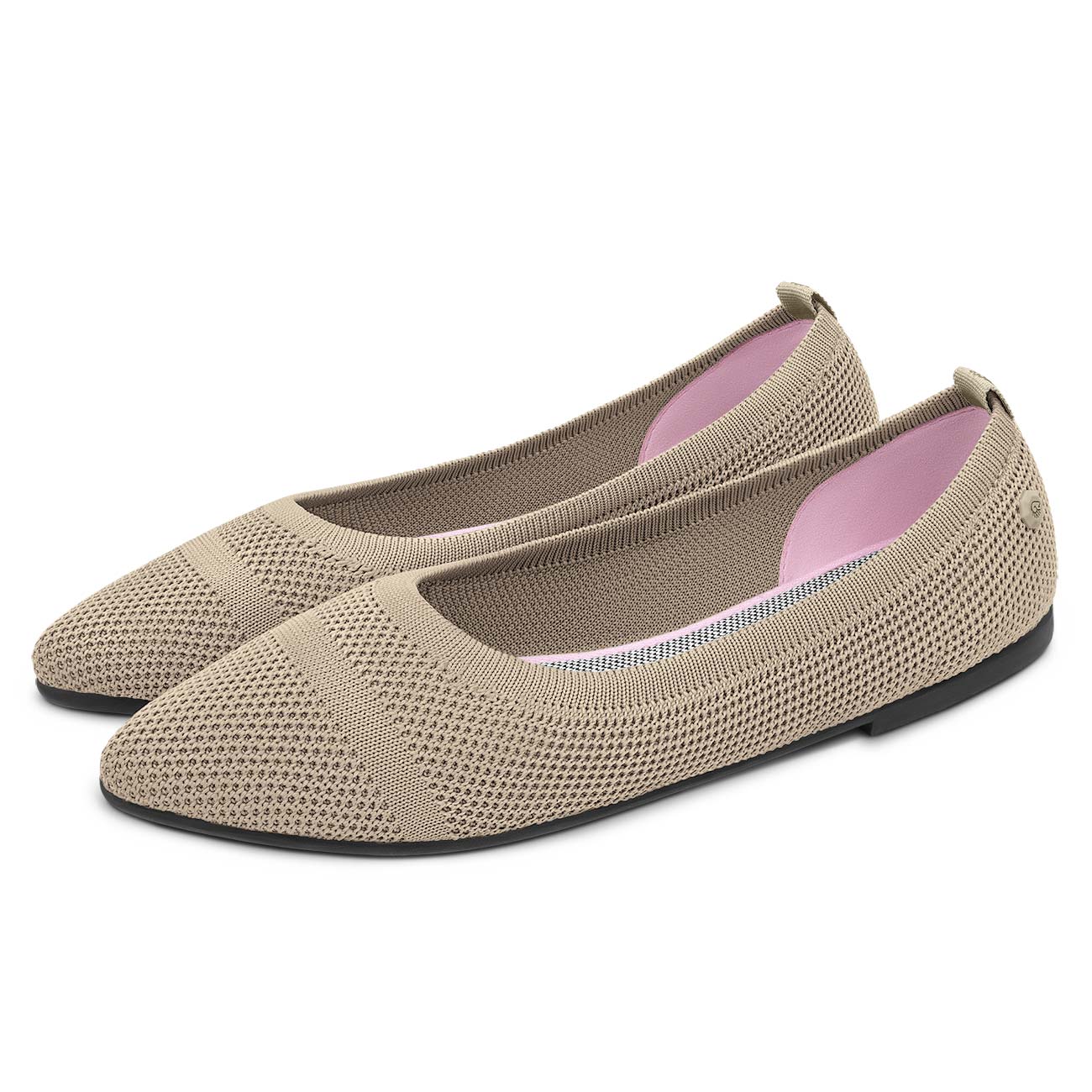 Eco Ballerinas Pointy 2.0