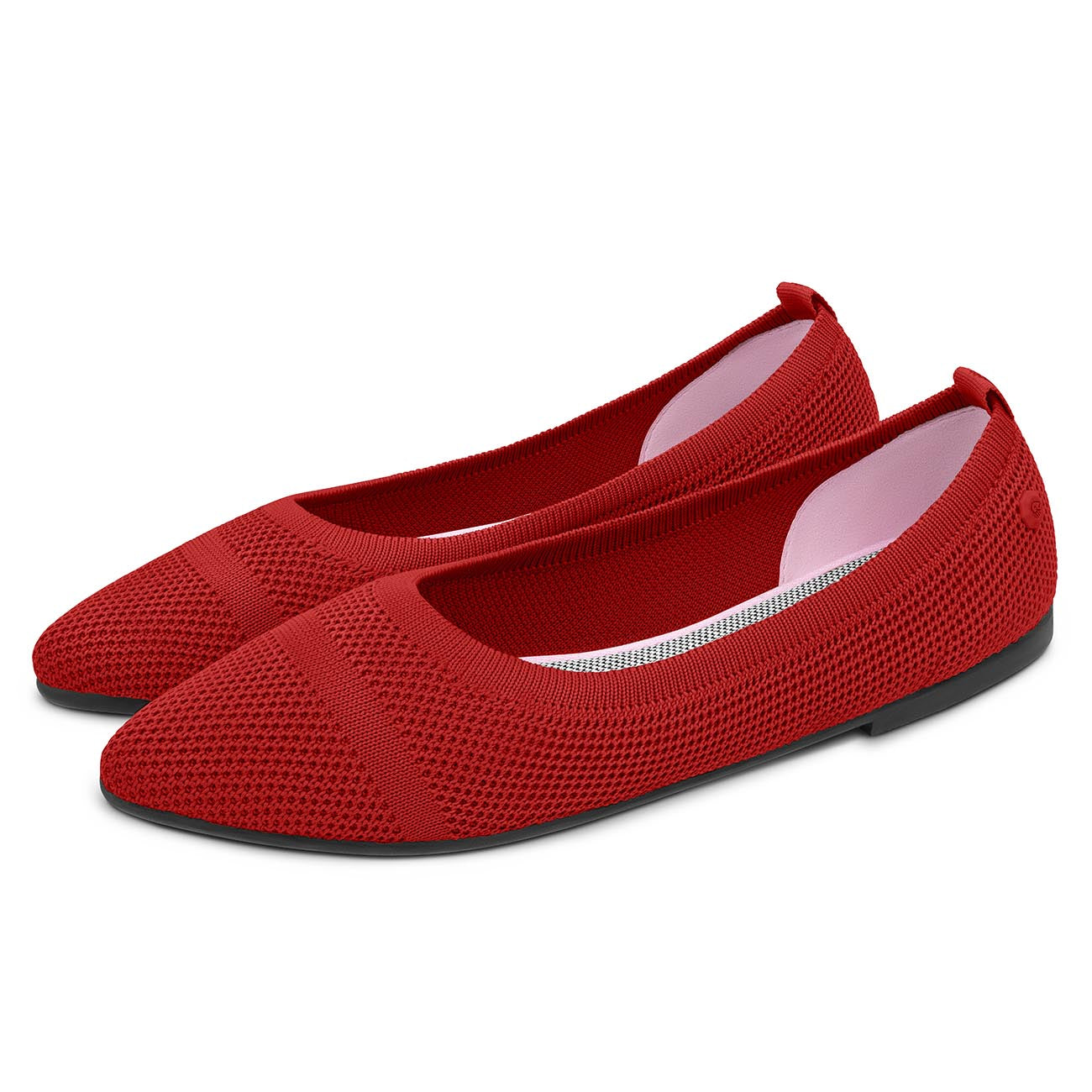Eco Ballerinas Pointy 2.0