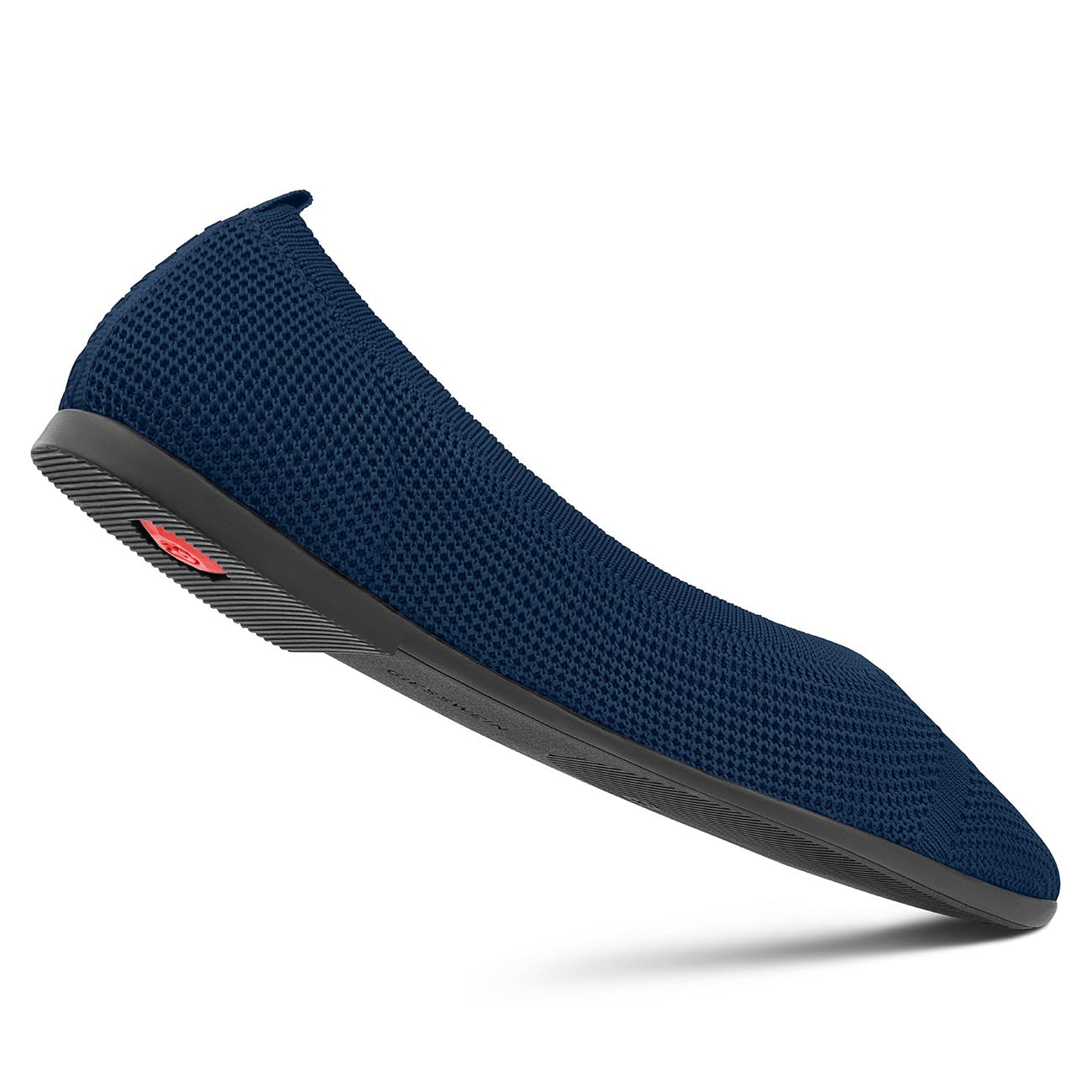 Eco Ballerinas Pointy 2.0