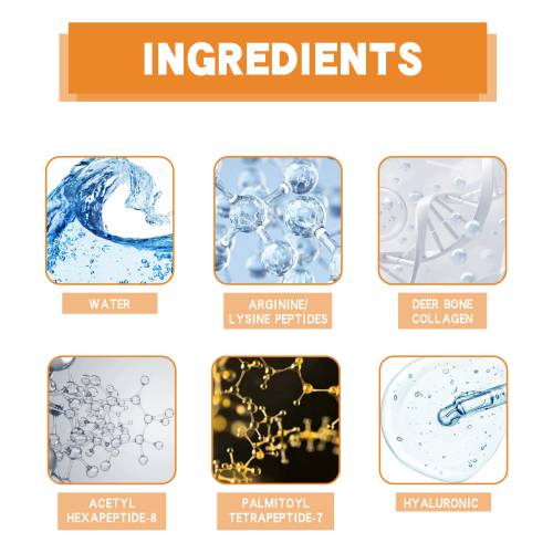 Schnecken-Peptid Kollagen-Serum-Set mit Microneedle-Patches