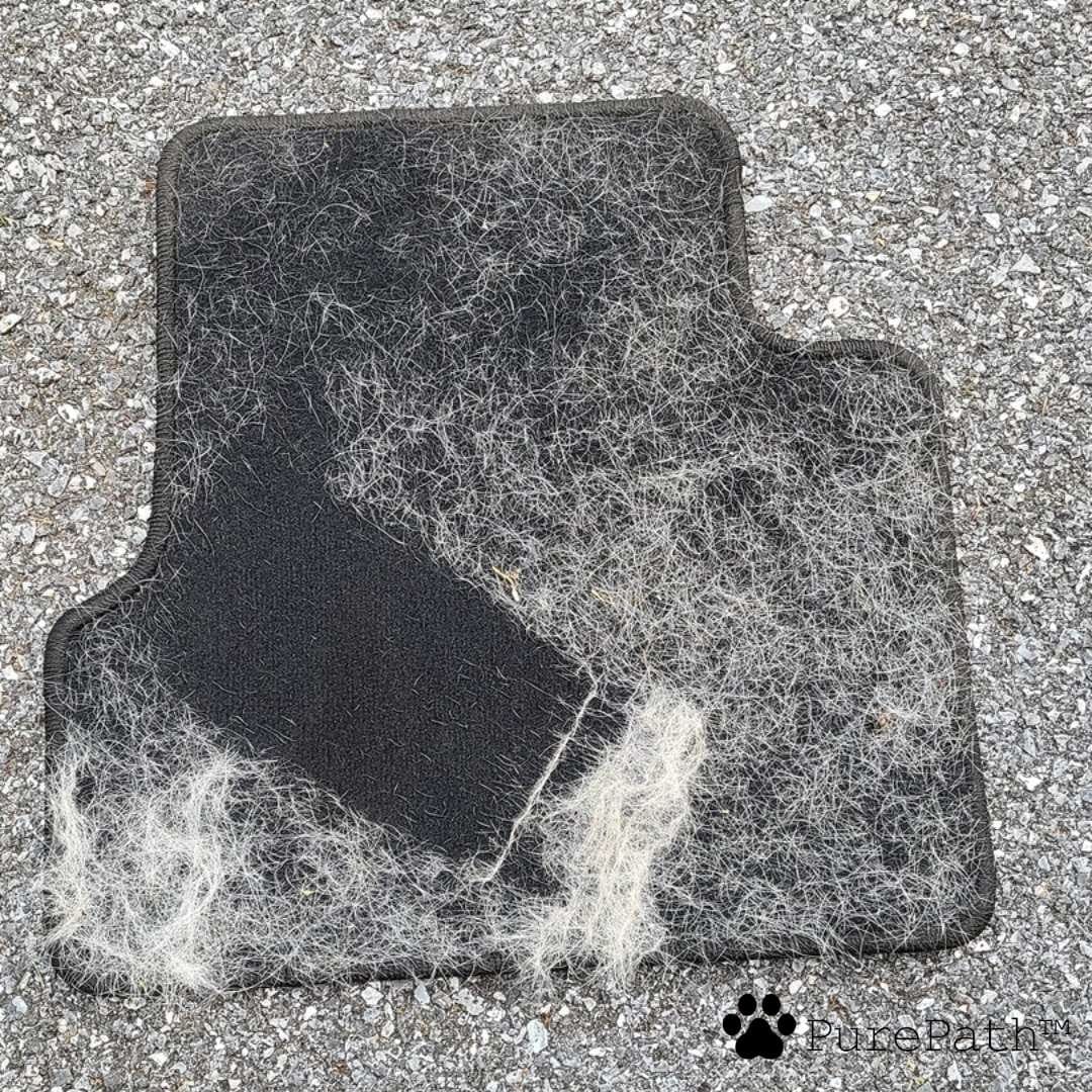 Zwergini Komplett-Reinigungsset™
